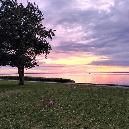 Lovely In With House Sea View * Bogense