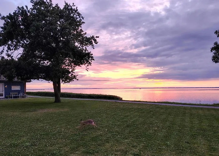 Lovely In With House Sea View * Bogense